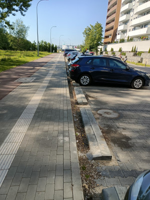 Zdjęcie 2 przedstawia problem zgłoszony w tym alercie