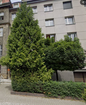 Zdjęcie 2 przedstawia problem zgłoszony w tym alercie
