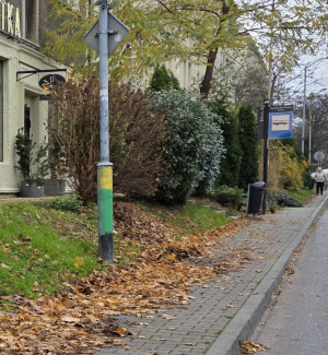 Zdjęcie 1 przedstawia problem zgłoszony w tym alercie