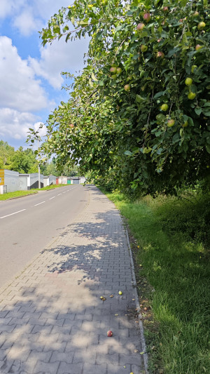Zdjęcie 1 przedstawia problem zgłoszony w tym alercie