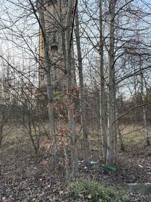 Zdjęcie 1 przedstawia problem zgłoszony w tym alercie