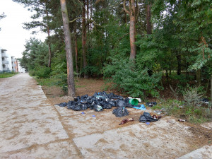 Zdjęcie 1 przedstawia problem zgłoszony w tym alercie