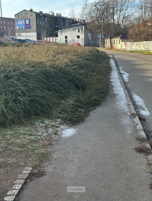Zdjęcie 2 przedstawia problem zgłoszony w tym alercie