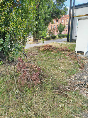 Zdjęcie 2 przedstawia problem zgłoszony w tym alercie