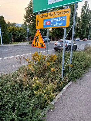 Zdjęcie 1 przedstawia problem zgłoszony w tym alercie