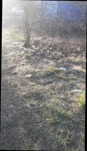 Zdjęcie 2 przedstawia problem zgłoszony w tym alercie