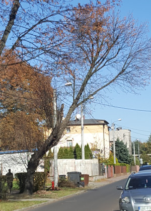 Zdjęcie 2 przedstawia problem zgłoszony w tym alercie
