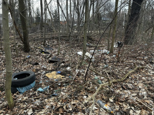 Zdjęcie 1 przedstawia problem zgłoszony w tym alercie