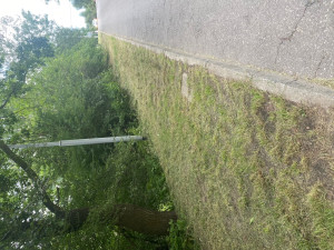 Zdjęcie 2 przedstawia problem zgłoszony w tym alercie