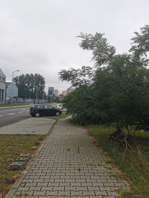 Zdjęcie 2 przedstawia problem zgłoszony w tym alercie