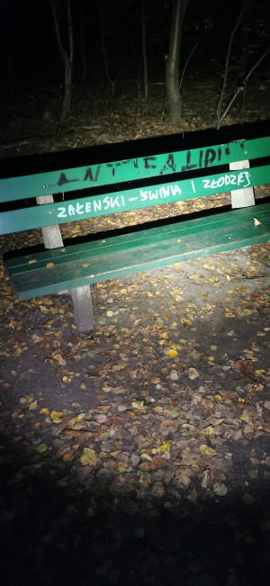 Zdjęcie 1 przedstawia problem zgłoszony w tym alercie