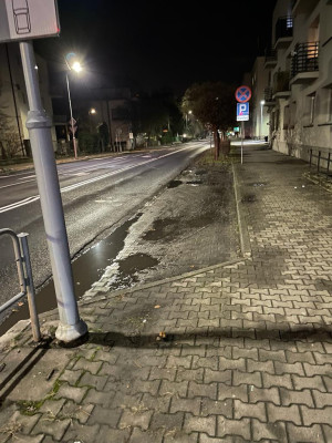 Zdjęcie 2 przedstawia problem zgłoszony w tym alercie