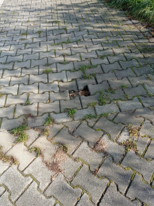 Zdjęcie 1 przedstawia problem zgłoszony w tym alercie