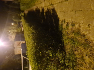 Zdjęcie 4 przedstawia problem zgłoszony w tym alercie