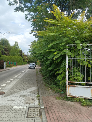 Zdjęcie 3 przedstawia problem zgłoszony w tym alercie