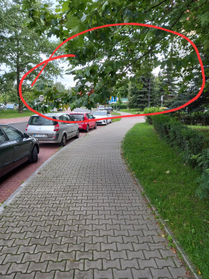 Zdjęcie 1 przedstawia problem zgłoszony w tym alercie