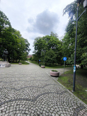 Zdjęcie 3 przedstawia problem zgłoszony w tym alercie