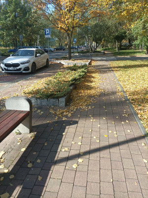 Zdjęcie 1 przedstawia problem zgłoszony w tym alercie