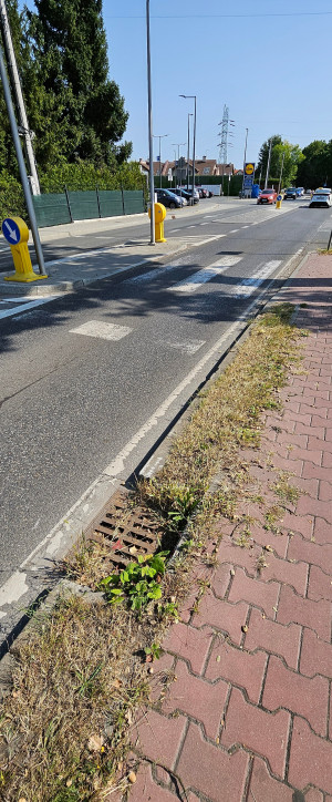 Zdjęcie 2 przedstawia problem zgłoszony w tym alercie
