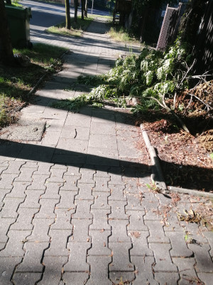 Zdjęcie 1 przedstawia problem zgłoszony w tym alercie