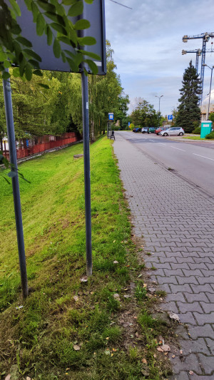 Zdjęcie 2 przedstawia problem zgłoszony w tym alercie
