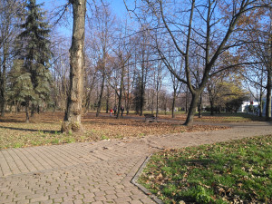 Zdjęcie 1 przedstawia problem zgłoszony w tym alercie