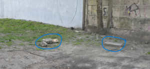 Zdjęcie 2 przedstawia problem zgłoszony w tym alercie