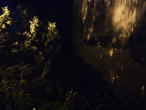 Zdjęcie 1 przedstawia problem zgłoszony w tym alercie