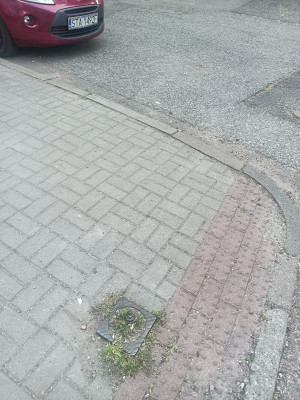 Zdjęcie 1 przedstawia problem zgłoszony w tym alercie
