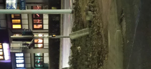 Zdjęcie 1 przedstawia problem zgłoszony w tym alercie