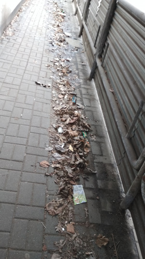 Zdjęcie 2 przedstawia problem zgłoszony w tym alercie