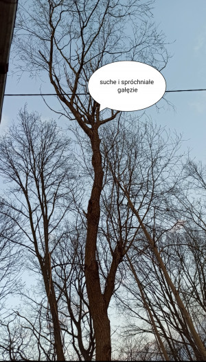 Zdjęcie 2 przedstawia problem zgłoszony w tym alercie