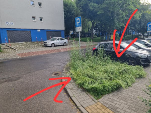 Zdjęcie 1 przedstawia problem zgłoszony w tym alercie