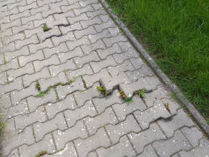 Zdjęcie 2 przedstawia problem zgłoszony w tym alercie