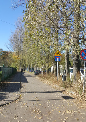 Zdjęcie 1 przedstawia problem zgłoszony w tym alercie