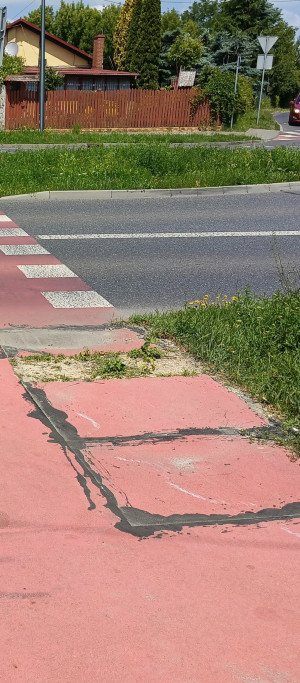 Zdjęcie 2 przedstawia problem zgłoszony w tym alercie