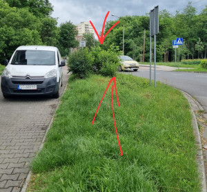 Zdjęcie 2 przedstawia problem zgłoszony w tym alercie