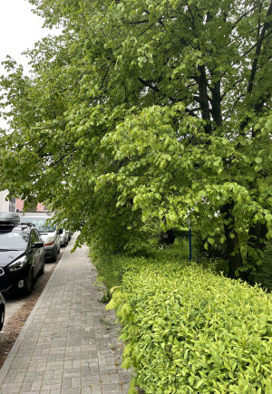 Zdjęcie 1 przedstawia problem zgłoszony w tym alercie