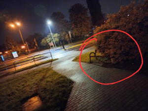 Zdjęcie 2 przedstawia problem zgłoszony w tym alercie