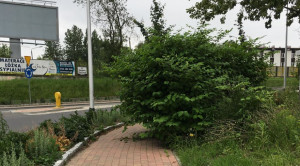 Zdjęcie 1 przedstawia problem zgłoszony w tym alercie