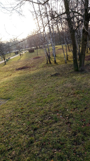 Zdjęcie 1 przedstawia problem zgłoszony w tym alercie