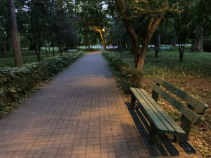 Zdjęcie 1 przedstawia problem zgłoszony w tym alercie