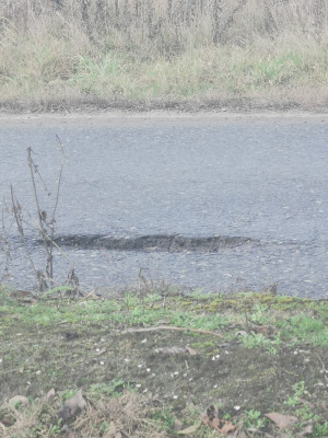 Zdjęcie 1 przedstawia problem zgłoszony w tym alercie