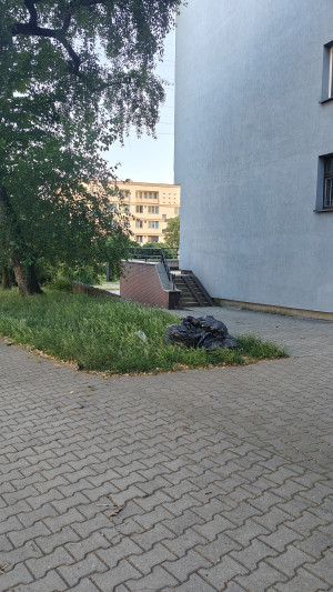 Zdjęcie 1 przedstawia problem zgłoszony w tym alercie