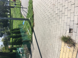 Zdjęcie 1 przedstawia problem zgłoszony w tym alercie