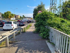Zdjęcie 1 przedstawia problem zgłoszony w tym alercie