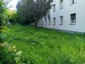 Zdjęcie 5 przedstawia problem zgłoszony w tym alercie