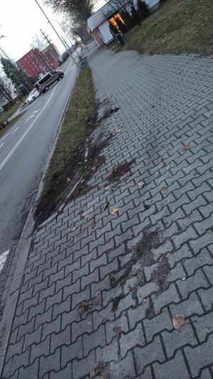 Zdjęcie 4 przedstawia problem zgłoszony w tym alercie