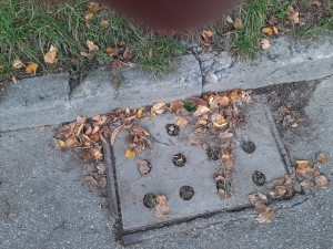 Zdjęcie 1 przedstawia problem zgłoszony w tym alercie