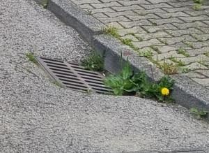 Zdjęcie 1 przedstawia problem zgłoszony w tym alercie